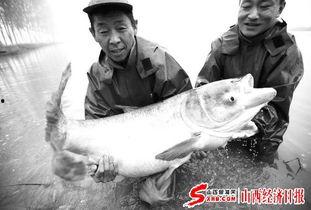 天津水产爆料事件最新,揭露海鲜市场惊人内幕,食品安全再引关注 第2张 天津水产爆料事件最新,揭露海鲜市场惊人内幕,食品安全再引关注 第2张